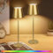 WUYOR 2 Stück Dimmbare Tischlampe Kabellose, Wiederaufladbar 3000K Farbtemperaturen und 7 RGB-Farben Tischleuchte mit USB-C, LED Wiederaufladbar Akku für Outdoor Indoor, Wasserdichte, 5500mAh, Gold