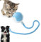 Loongroad Jouet interactif pour chat et chien, jouet électrique à balle intelligente, trois modes réglables avec fonction de réveil pour chiens et chats de petite et moyenne taille