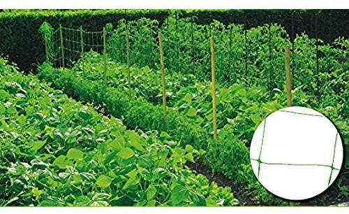Riegolux 999157 Malla Entutorar 20 x 20 cm, Verde, 2 x 10 m