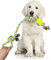 BPS Nudo Algodón Juguete Cuerda para Perros Mediano/Pequeño de Algodón para Salud Mental Dental del Perro Limpieza Dientes Color al Azar BPS-2056