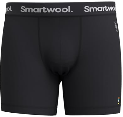 SmartWool Herren Everyday Merino Brief Boxed Boxershorts