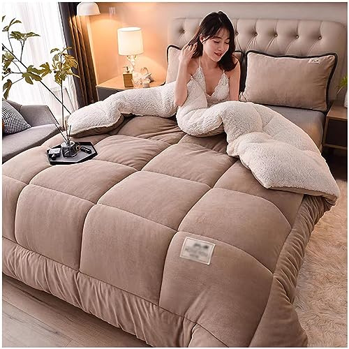 ZTGL Trapunta Invernale Imbottita 2-5kg Piumone Caldo Letto 2 Piazze, Coperta Plaid Sherpa Doppio Strato Morbida Matrimoniale Pile Vellutato MOD,E,220x240cm(5kg)