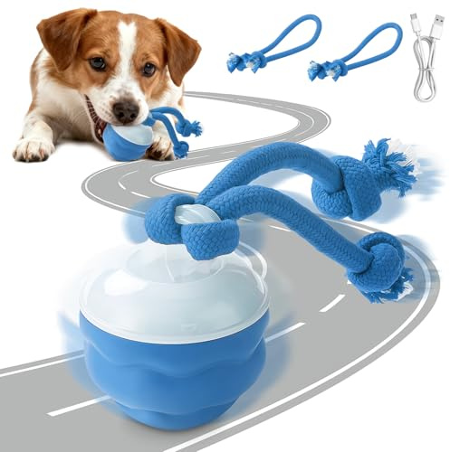 AMFUN Interactive Dog/Cats Toys,Moving Smart Automatic Rolling Ball,Interactive Dog Toys with Two Chew Ropes,USB Rechargeable dog ball for Small Dogs (Blue)