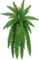 Generic Künstlicher Farn 50cm Kunstpflanzen Hängend 18 Zweige Plastik Farn Künstlich Wie Echt Outdoor Künstliche Pflanzen Fake Boston Farn Plants Für Garten Verandas Fenster Deko, WUQO10VZ506VRLAC3