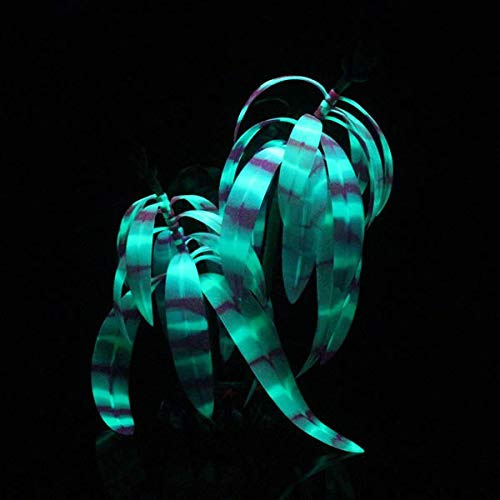 Aqua Lumo Planta Fluorescente (Silicona), diseño de Rayas, Color Morado