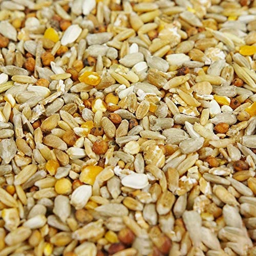 BusyBeaks No Mess Seed Mix | Garden Wild Bird Food Mixture | Husk and Shell Free Seeds | Premium Quality Balanced Formula | Protein-Rich Great Source of Energy | Attracts Various Birds (5kg)
