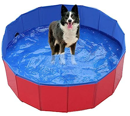 Piscina para Perros, Piscina Plegable para Perros 508 cm, Piscina portátil para Perros, Piscina rígida Plegable para Perros, bañera para niños, Perros y Gatos