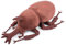 Simulations-Hirschkäfer Plüschtier - Realistischer 10 Zoll Lucanidae Hirschkäfer Coleoptera Insektenkäfer Stofftier, einzigartige weiche Krustentiere Käfer-Modellpuppen, Geschenke für Kinder