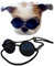 G016 Hunde-Sonnenbrille für kleine Hunde bis 6,8 kg (schwarz)