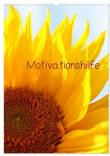 Motivationshilfe (Wandkalender 2026 DIN A2 hoch), CALVENDO Monatskalender: Ein Planer der besonderen Art (CALVENDO Wissen)