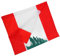 Mobestech Drapeau Liban 1 Pièce Drapeau en Polyester pour Décorations Extérieures et Intérieures Fixation Facile au Mât Couleurs Vibrantes pour Célébrations et Événements