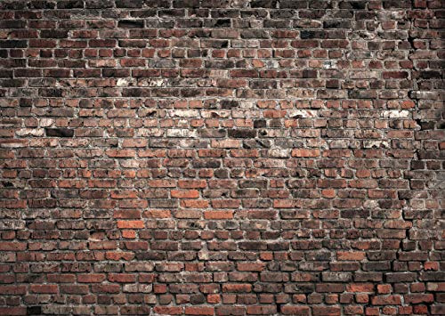 LTLYH 7x5ft Red Brick Wall Photography Backdrop Vintage Theme Stone Brick Design Photography Background Baby Birthday Party Decoration Photo Booth Studio Prop 135…