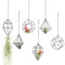 libproqia Himmeli - Juego de 6 Soportes Colgantes para Plantas de Aire, diseño geométrico Negro, para Plantas de Aire, helechos de Aire Tillandsia