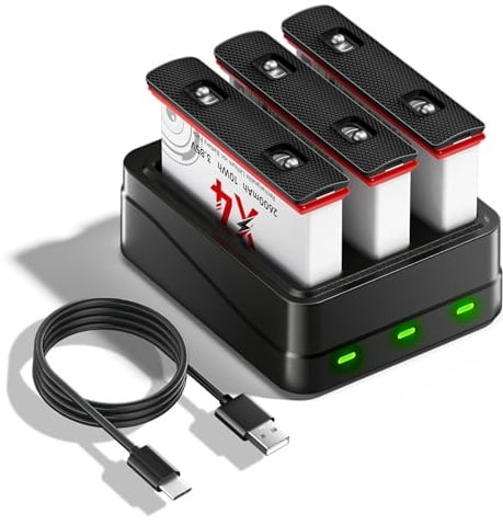 Palogreen 36O X4 Akku Ladegerät Set - 3 Pcs 2600mAh 36O X4 Akkus und 3 Kanal LED X4 Ladegerät Typ-C für 36O One X4 Kamera
