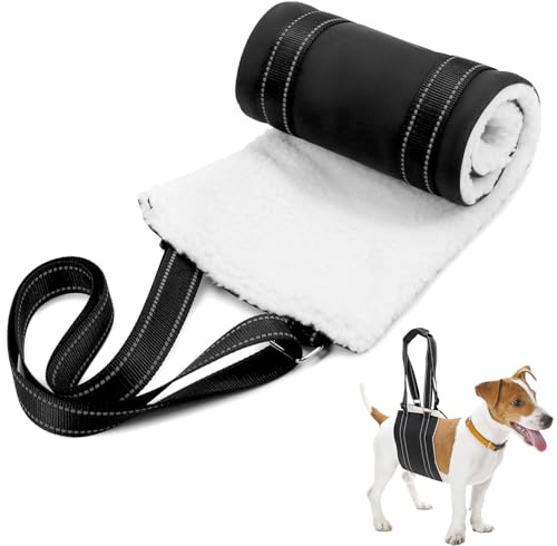 QWORK® Weiche Hunde Tragehilfe (M) - Verstellbare Gehhilfe und Hinten Unterstützungsgeschirr für Behinderte, Verletzte, Ältere Hunde