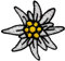 Café Viereck ® Bundeswehr Edelweiß Edelweiss Patch Gestickt mit Klett – 4,5 cm x 4,5 cm