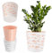 KADAX Maceta, macetero, Maceta Redonda de plástico, Maceta para Flores, Plantas, balcón, Maceta para Interiores, Maceta Ligera, Maceta Moderna (17 cm, Color melocotón)