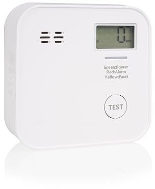 Smartwares Detector de CO - Pila de 10 años - Pantalla e indicador LED - Botón de Prueba - FGA-13091