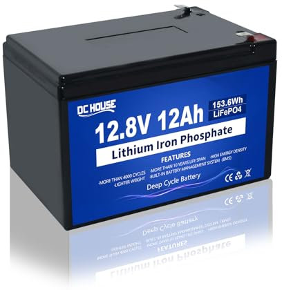 DC HOUSE 12V 12Ah LiFePO4 batteria al litio con 15A BMS, 10 anni di vita, 10000 + cicli, per il giro sul giocattolo, Trolling Motor Fish Finder, kayak, ruote elettriche