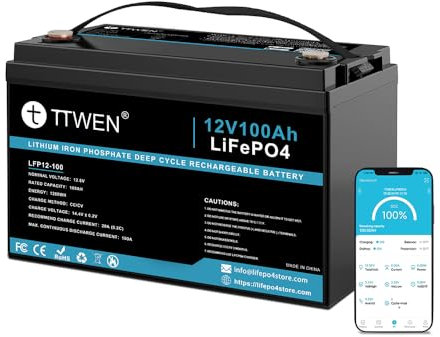 Irishom Alimentation de Secours de Batterie au Lithium 12V 100Ah LiFePO4, avec Bluetooth, Puissance 1280Wh, BMS 100A intégré, Poids de 24,25lb, Remplacement pour Plupart des alimentations de Secours