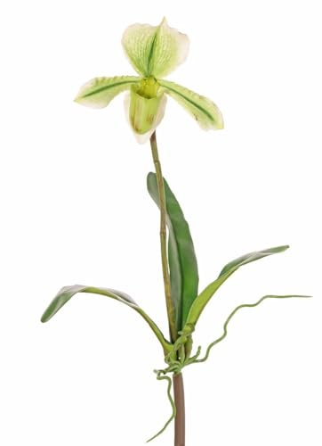 artplants.de Künstliche Paphiopedilum Orchidee VELANA, grün-weiß, 40cm | Steckstab - Kunst Orchidee