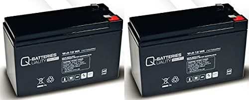 Ersatzakku für APC Smart-UPS DLA750I RBC48 RBC 48 / Markenakku mit VDs