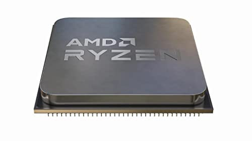 AMD Server Ryzen 5 5600X Bandeja 12 Unidades