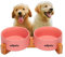 Edipets, Comedero Perro Gato, 400, 800 y 1900 ml, Cerámica, Individual y Doble, Soporte de Bambú Antideslizante, Pequeño Mediano y Grande, 5 Colores (Doble Mediano, Rosa)