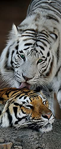 A.Monamour Türtapete Selbstklebend Türfolie Türposter 3D Weißes Und Braunes Tiger Tier Thema Vinyl Folie Türdeko Tapete Wandbild Türaufkleber Türtattoo 85 x 200 cm
