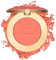 Too Faced Cosmetics Original Cloud Crush – seidiges Rouge, Blurring Blush, samtige Formel für zweite Haut, 5,0 g, 1 Stück, 5,00 g (1 Tequila-Sunset, 5,00 g (1 Stück)
