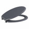 Affine® Toilet Seat Dark Grey Gloss Moulded Wood Round Wooden Bottom Fitting Fixings Traditional Bathroom Durable Hinges Easy Clean Seats for Toilets