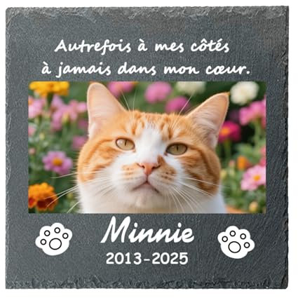 Umitive Pierre Tombale Personnalisée pour Chat - Plaque Commémorative avec Photo - Cadeau Souvenir pour Animal Décédé - Décoration Jardin (Style A)