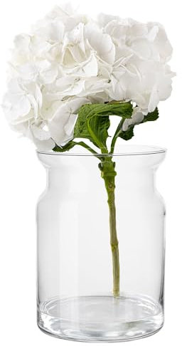 TREND FOR HOME Glaszylinder H: 25 cm Glasvase Rund große Vase Durchsichtig Runde Vase für Rosen Trockenblumen Straus Blumenvase Hochzeit Deko Glasvase Zylinder | Ø 18 cm | 5500 ml | Sunflower