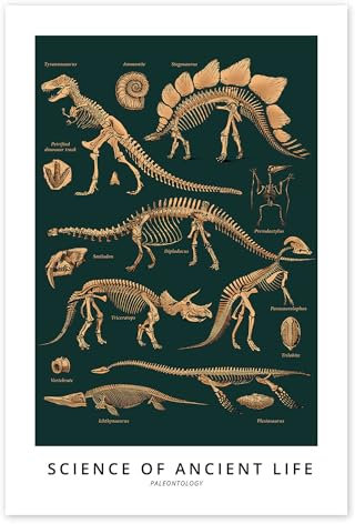 Paläontologie (Englisch) Poster von Vintage Educational Collection 20 x 30 cm Wandbilder Wanddeko
