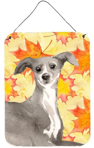 Carolines Treasures Italienischer Windhund, Metalldruck, 40,6 x 30,5 cm, Mehrfarbig