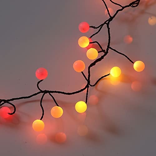 Qbis Premium LED Cluster Lights. Christmas Garland Fairy Lights (240 LED Berry Sunset (Black Wire))