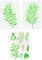 FINGERINSPIRE 3 Stück Farnblättern Schablone 29.7x21cm Wiederverwendbar Folie Malschablone Kunststoff Kunst Natur Tropische Pflanzenblätter Schablonen Für Wand Holz Möbel Stoff Scrapbook Malerei