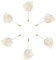 sourcing map 6 Stück Groom Ansteckblumen Rosen Ansteckblumen Pins für Herren Hochzeit Zeremonie Jubiläum Formelles Abendessen Party Reinweiß