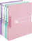 Ringbuch A4 PP 2-Ring 3,8cm Pastell transparent 4er-Pack sort.