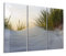 DEQORI Glasbilder Echtglas | Motiv Düne mit Dünengras | horizontal 3-teilig 150x100 cm | große XXL Deko | Wandbilder für Wohnzimmer, Schlafzimmer, Flur & Küche | moderne Wanddeko