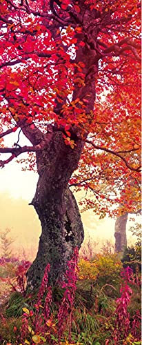 A.Monamour Türtapete Selbstklebend Türfolie Türposter 3D Herbstrote Bäume Wald Naturlandschaft In Karpaten Ukraine Vinyl Folie Türdeko Tapete Wandbild Türaufkleber Türtattoo 90 x 200 cm