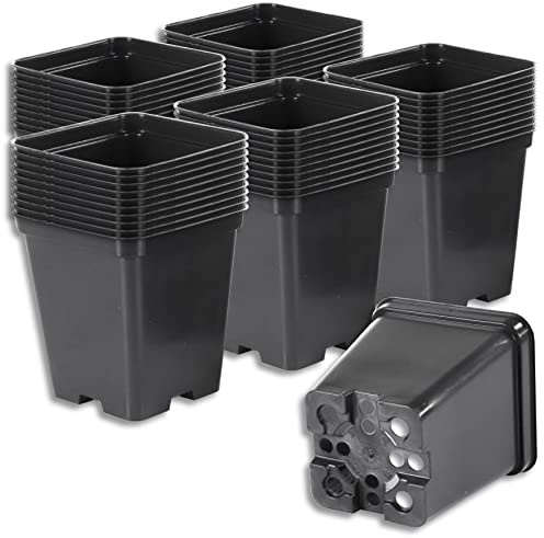 Wohnkult Pflanztopf Blumentopf Blumenkübel schwarz, klein, quadratisch, 3 zur Auswahl (0,5 l Volumen | 50 Stück)