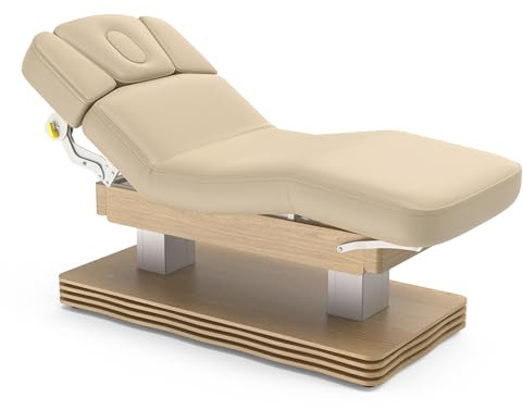 Master Massage Spa, Medi-Spa, Table électrique bruyère avec Mousse de 10 cm d'épaisseur, Double piédestal et accoudoir réglables