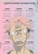 JUJUTSU KAISEN CALENDAR 2023 (English Edition)