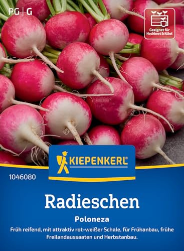 Kiepenkerl Radieschensamen Poloneza 1046080, Gemüsesaat