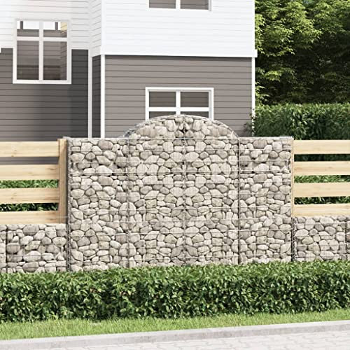 Sufrk Gabionen mit Hochbogen 40Stk. Gabionen Hochbeet GabionenköRbe Gabione Mit Hochbogen 200x50x140/160cm Verzinktes Eisen