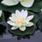 5 flores de loto flotantes de agua, almohadillas artificiales flotantes para estanque, lirios de agua realistas, accesorios para el hogar, jardín, patio, piscina, estanque, decoración de peceras