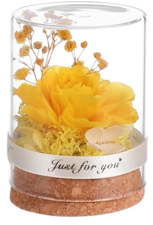 Ciieeo Cupola di Vetro Fiore Immortale Giallo, Decorazione Casa e Ufficio Rosa Stabilizzata, Regalo Creativo per Natale e San