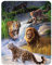 3D LiveLife Magnet - Big Cat Expedition from Deluxebase. Lenticular 3D Jungle Fridge Magnet. Magnetic decor for kids and adults with artwork licensed from renowned artist, Jerry LoFaro