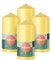 Bolsius Candele a colonna, confezione da 4 pezzi, 12 x 6 cm, candele decorative per la casa, lunga durata di 33 ore, inodore, cera vegana naturale, senza olio di palma